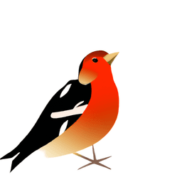 starfinch